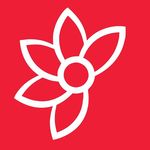 Saffron Alley discount code